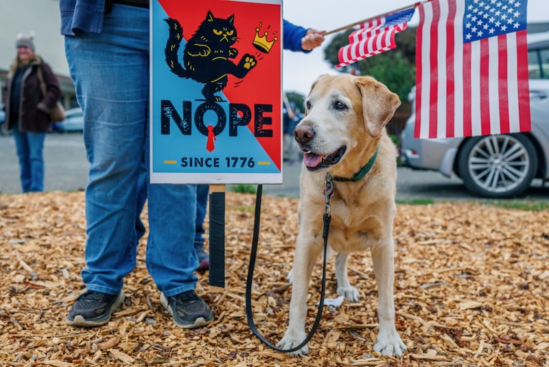 Mendocino Coast Press logo
